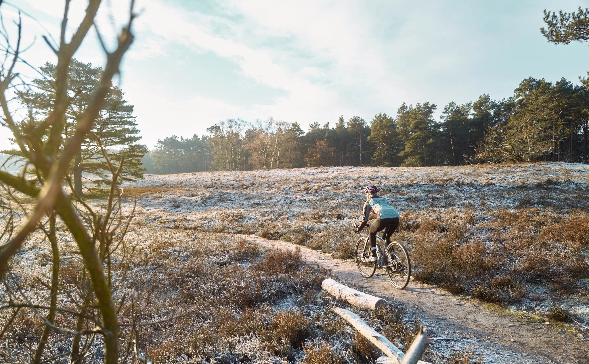 Vendite Ricambi Ebike -Vendite Ricambi Ebike 321955993 851562389430367 8421244579456016195 n